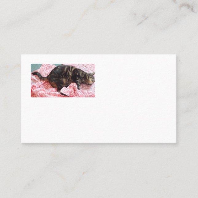 Tailor Dave American Business Cards (Front)