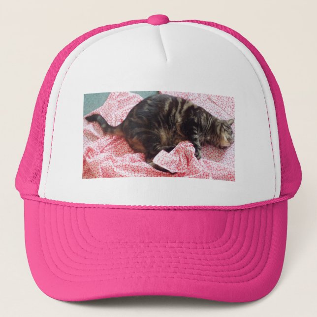 Tailor Dave Casquette (Devant)