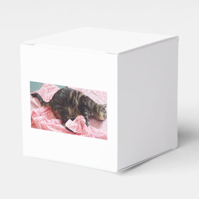 Tailor Dave Favor Box (Front Side)