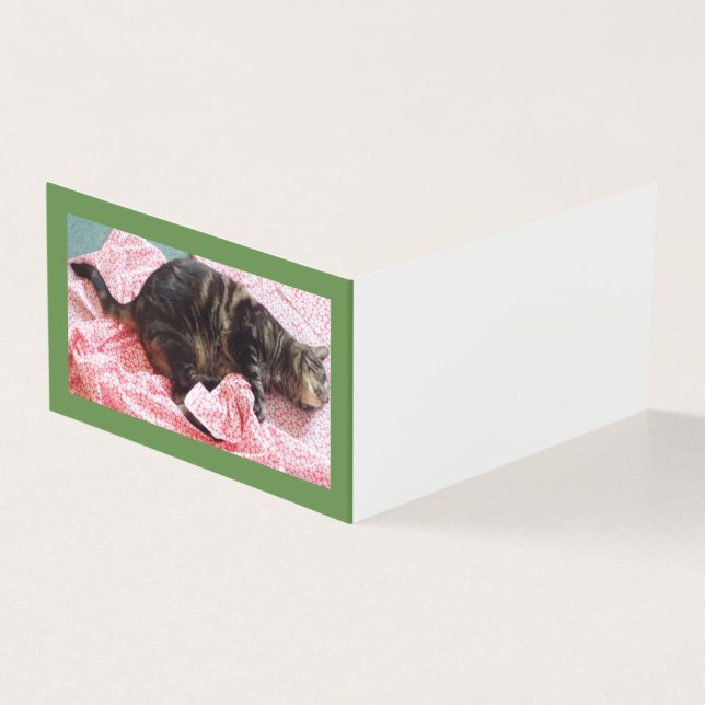 Tailor Dave Folded Horizontal Book Table Card (Outside)