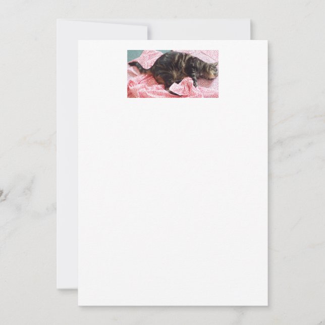 Tailor Dave Invitations (Front)