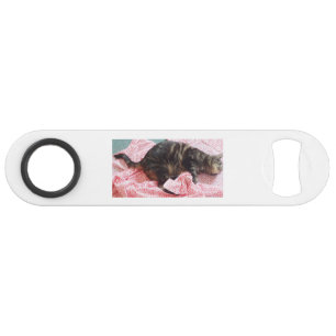 Tailor Dave Speed Bottle Opener