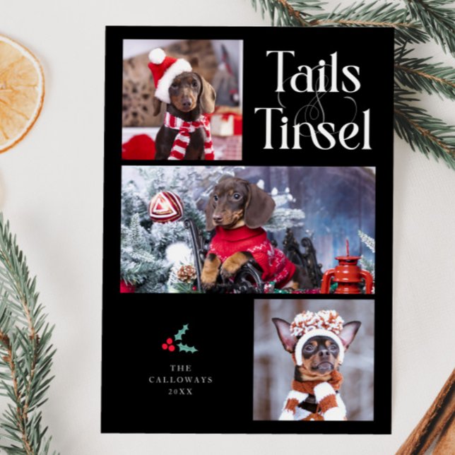 Tails & Tinsel Dog Photo Black Christmas Holiday Card (Creator Uploaded)
