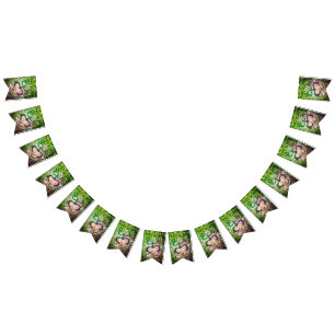 Taino Coqui Frog Flag