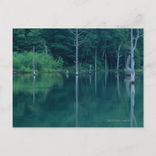 Taisho Pond Postcard