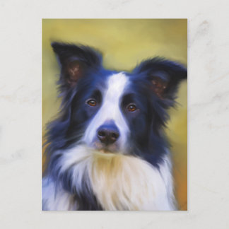 Taj - Border Collie Art Postcard