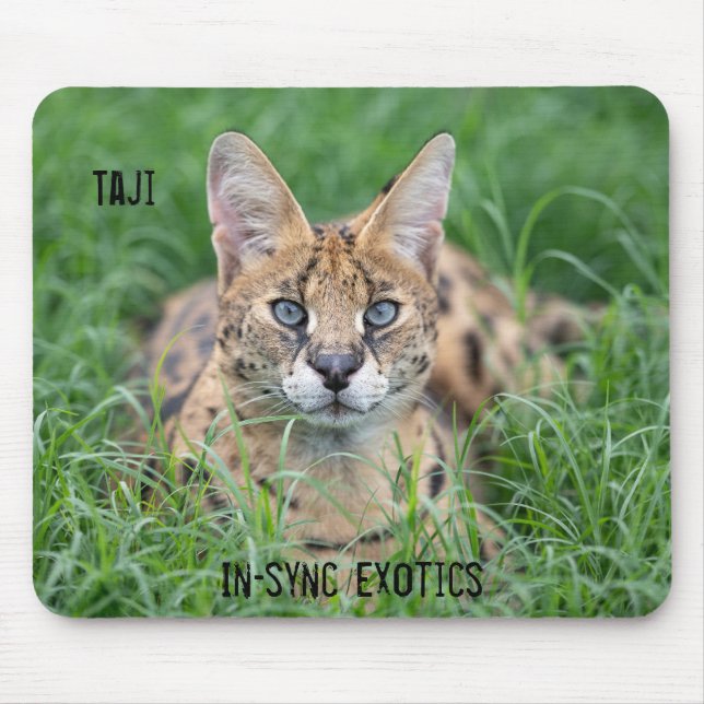 Taji - mouse pad (Front)