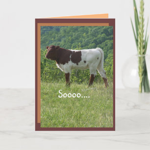 TakaraBday -customize-any Card