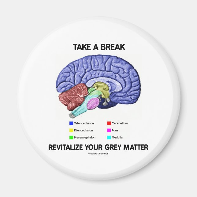Take A Break Revitalize Your Grey Matter (Brain) Magnet (Front)