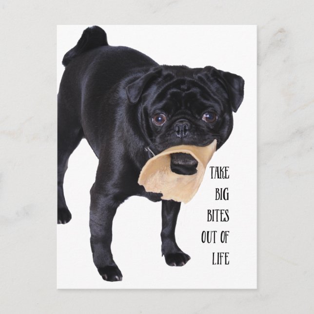 Take big bites out of life postcard (Front)