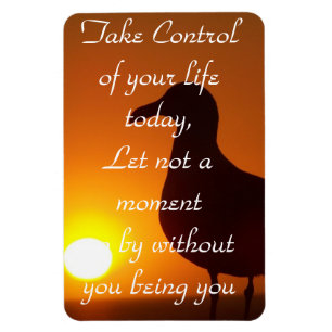 Take Control!_ Magnet
