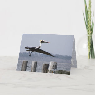 "take flight" greeting card
