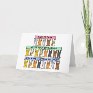 Take it Easy After Your Operation Cute Cats. Card