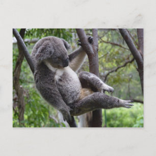 take it easy! postcard