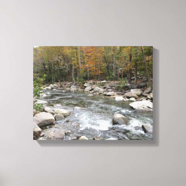 Take Me Out to the Creek Canvas Print (Front)