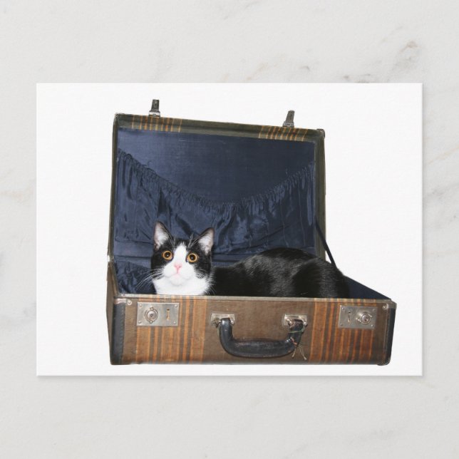 Take me with you postcard (Front)