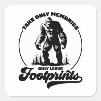 Take Memories Leave Footprints Hiking Sticker