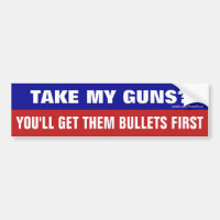 Take My Guns? You'll Get Them Bullets First