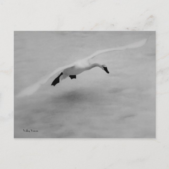 Take Off Postcard (Front)