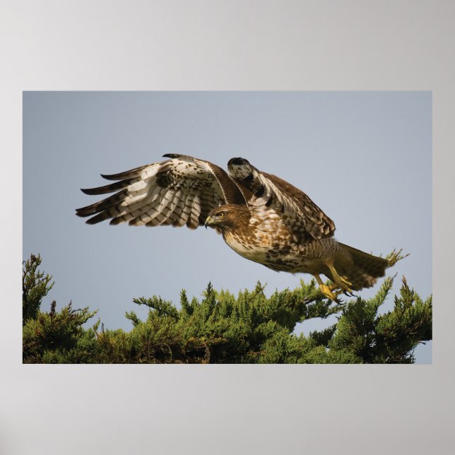 Take Off Poster (Front)