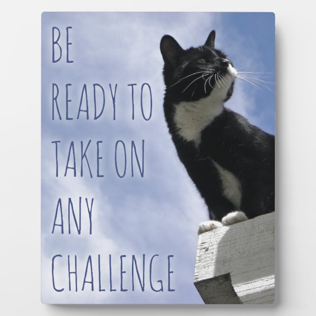 Take on any Challenge motivational cat Plaque (Front)