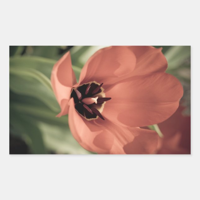 take on spring sticker (Front)