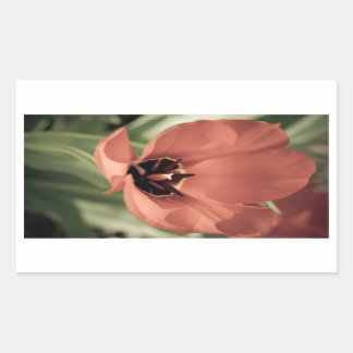 take on spring sticker