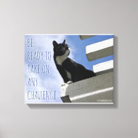 Take Over the World Cute Cat Motivation