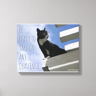 Take Over the World Cute Cat Motivation Canvas Print
