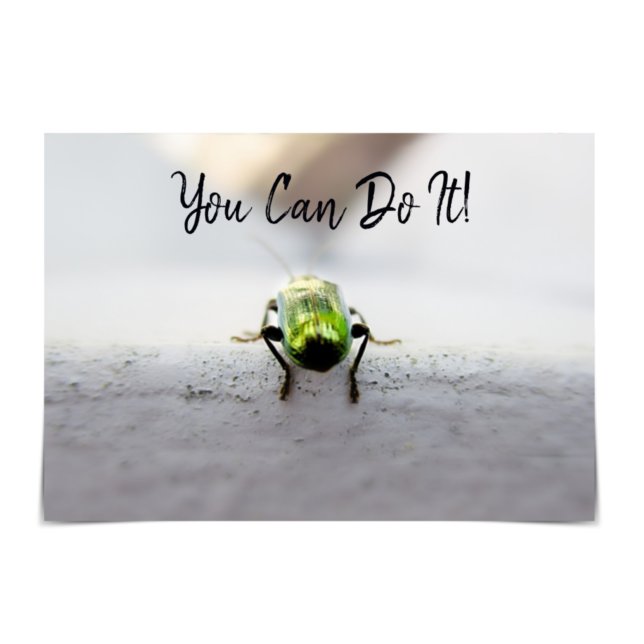 "Take the Leap" Beetle Encouragement Card (Creator Uploaded)