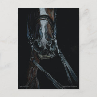 Take the Reins by Mary Gubisch Postcard