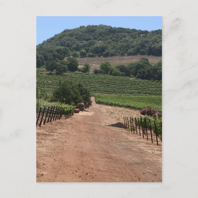 Take the Road less Travelled Postcard (Front)