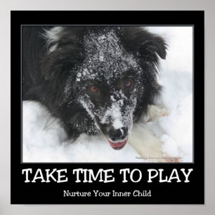 Take Time To Play Border Collie Inspirational Poster