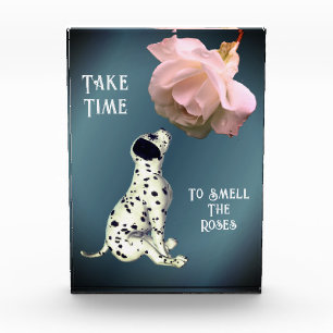 Take Time To Smell Roses Puppy Inspirational Photo Block