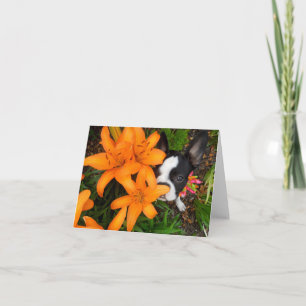 Take time to smell the flowers - BLANK NOTE CARD
