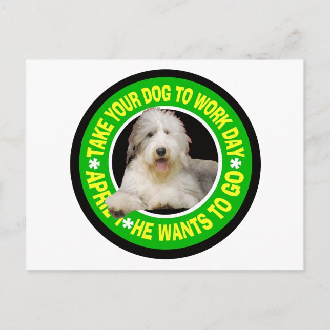 TAKE YOUR BEARDED COLLIE TO WORK DAY POSTCARD (Front)