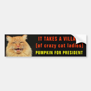 Takes A Village of Crazy Cat Ladies Bumper Sticker