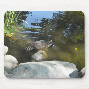 Taking a Dip Raccoon Mouse Pad