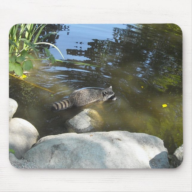 Taking a Dip Raccoon Mouse Pad (Front)