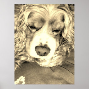 Taking a Moment Poster