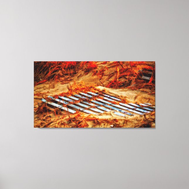 Taking Back The Beach Canvas Print (Front)