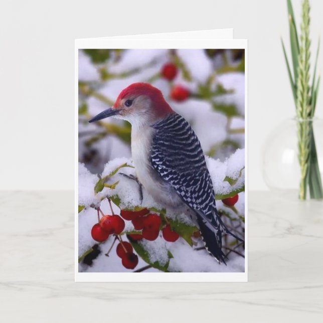 TAKING BREAK FROM TWEETING TO SAY HAPPY BIRTHDAY CARD (Front)