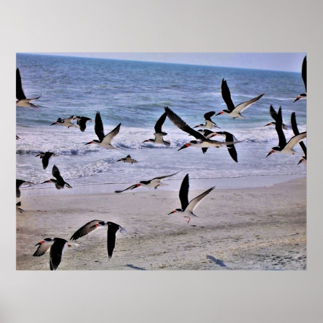 Taking Flight Poster (Front)