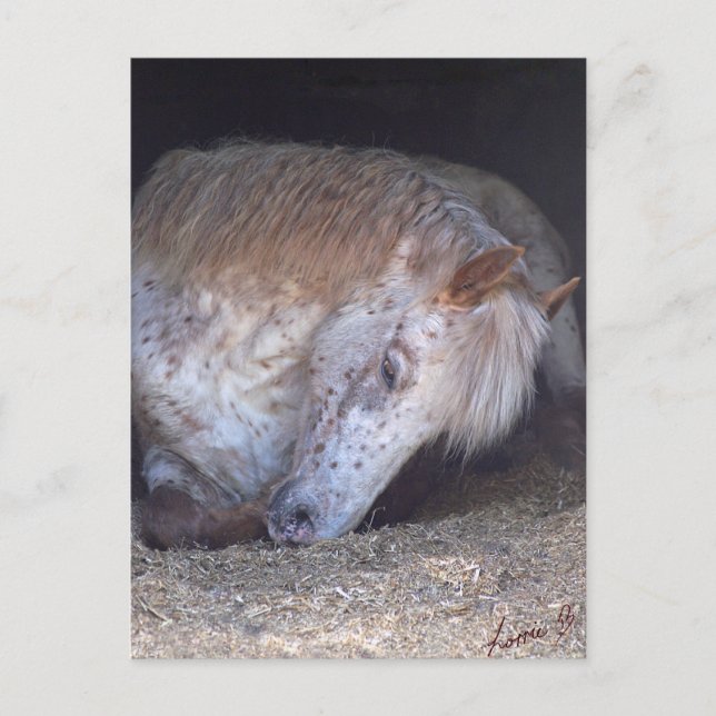 Taking it easy postcard (Front)