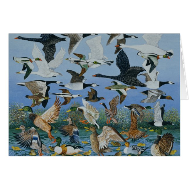 Taking Off 1996 (Front Horizontal)