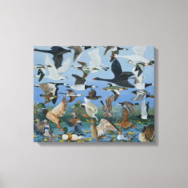 Taking Off 1996 Canvas Print (Front)