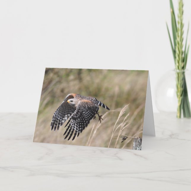 Taking Off Greeting Card (Front)