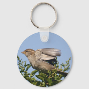 Taking off keychain