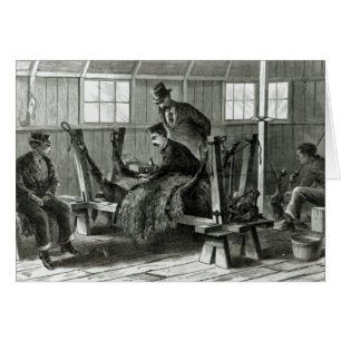 Taking virus from the calf