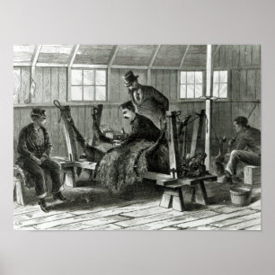 Taking virus from the calf poster